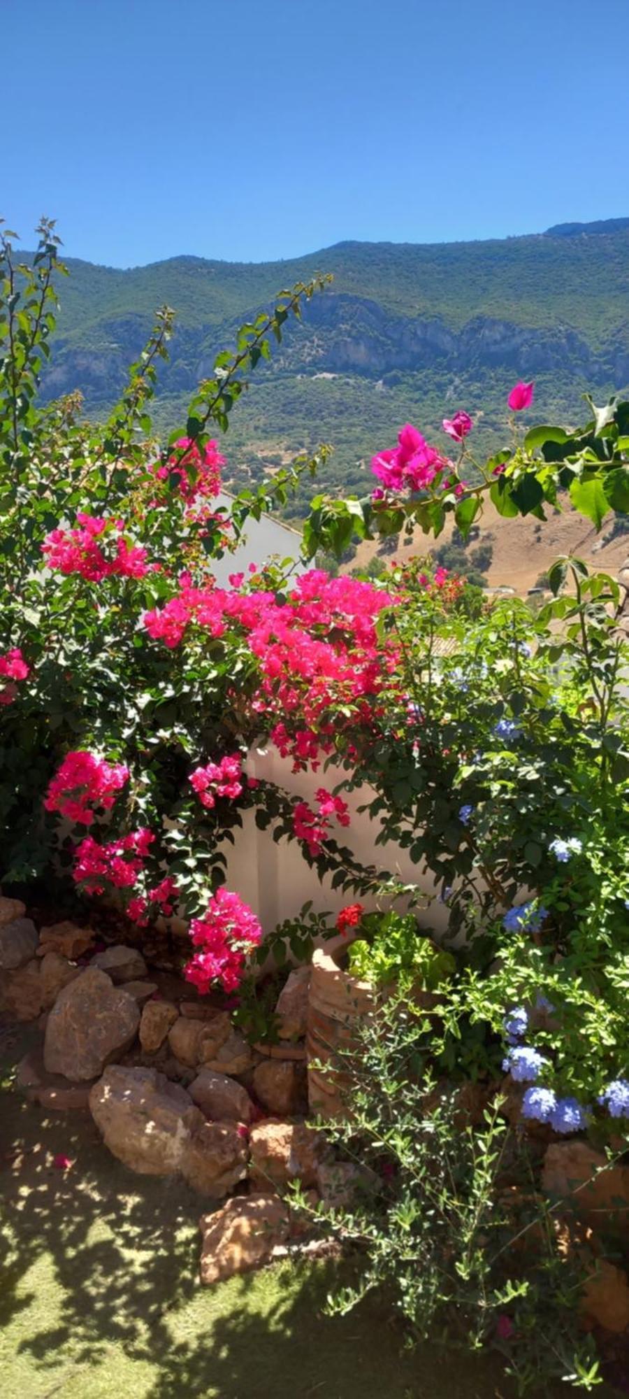 La Posada De La Muela Algodonales Εξωτερικό φωτογραφία